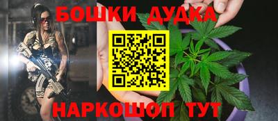 ПСИЛОЦИБИНОВЫЕ ГРИБЫ Новозыбков