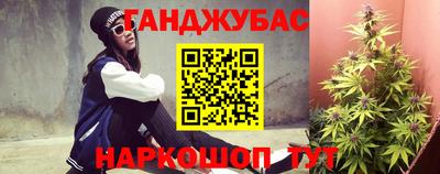 амф Новокубанск